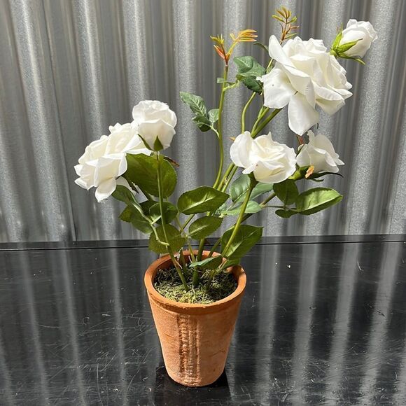 Pottery Barn Other - Pottery barn 18 inch white rose tree